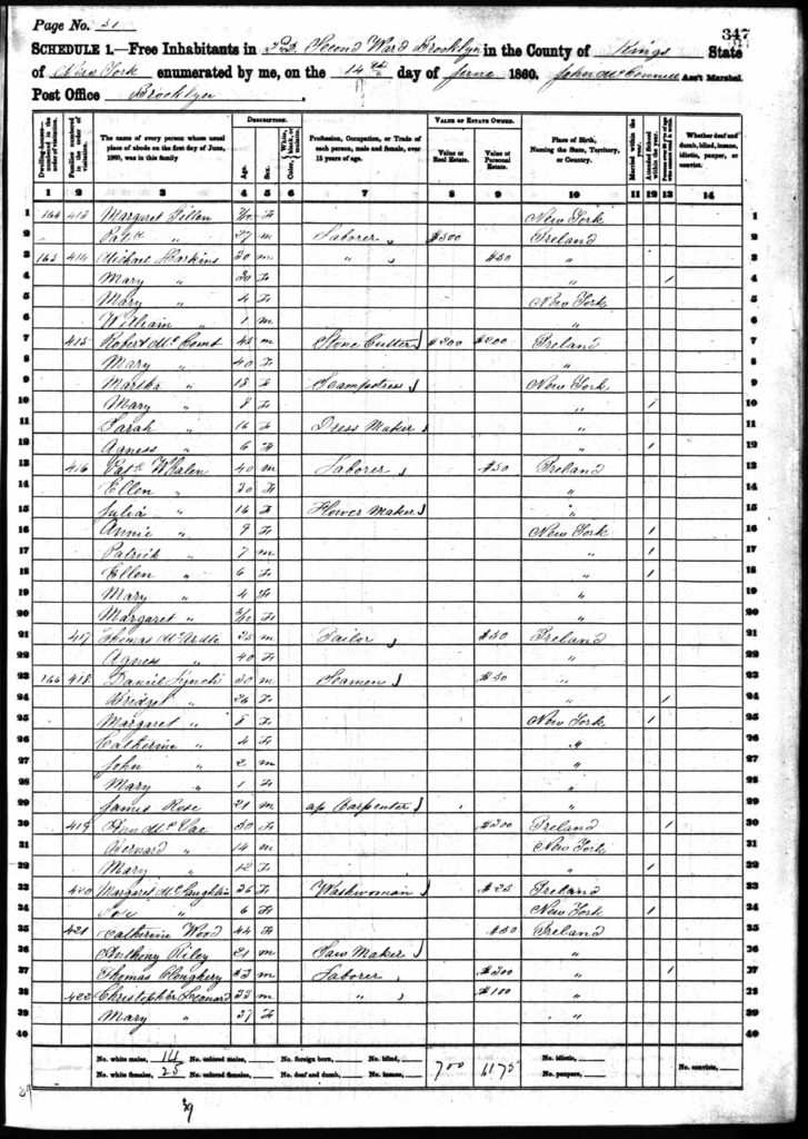 Harkins, Michael. 1860 Federal Census, Brooklyn, Ward 2.